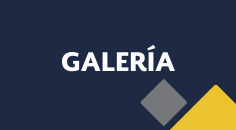 BOTÓN GALERÍA